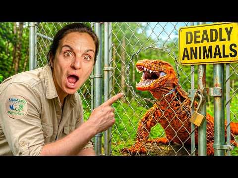 Feeding Most Dangerous Animals at The Zoo!