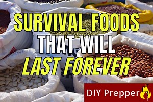 Survival Foods That Last Forever - DIY Prepper