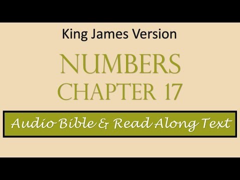 Numbers 17 | KJV DRAMATIZED AUDIO BIBLE WITH TEXT