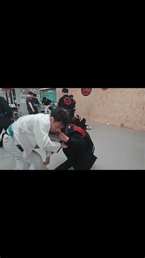 ​오늘 자 주짓수 승급식 라인업 수준 ㄷㄷ #mma