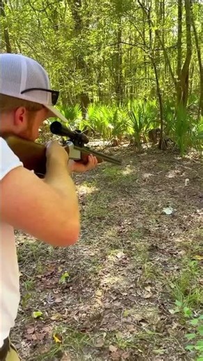 Sniper Field Test: Real Shots & Impact #short