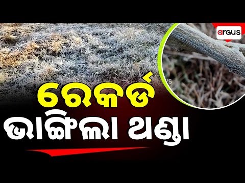 🔴Big Breaking Live | ରେକର୍ଡ ଭାଙ୍ଗିଲା ଥଣ୍ଡା | Winter | Weather Update | Odisha | Argus News