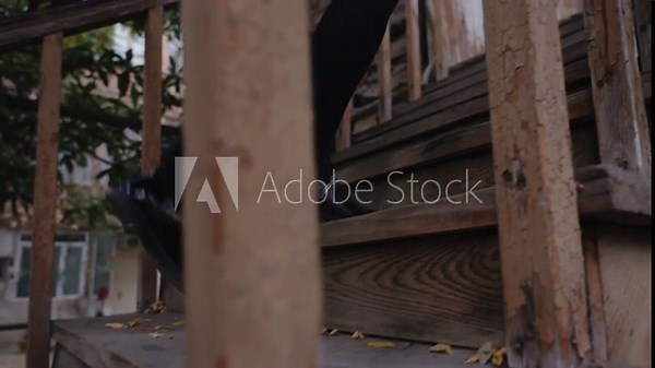 A close-up shot of a girl's legs in knee-high leggings, running up the stairs of an old house. slow motion, daytime, outdoor