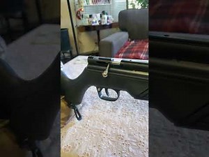 Crosman 362c Modifications .