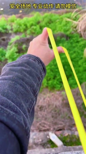 Boost Your Budget: Discover Easy Ways to Save with Household Tips