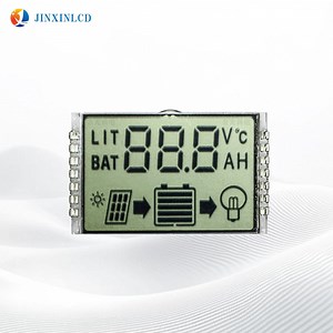 [Hot Item] Custom 7 Segment Monochrome Screen Digit Tn/Stn/FSTN/Va LCD Monitor