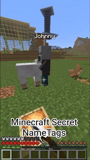 Minecraft NameTags Secret
