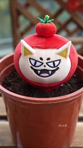 ปลูก Fox: สวนพืชสุดสร้างสรรค์