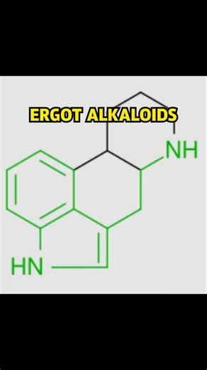 Ergot Alkaloids: The Real Reason The Town Of Salem Thought They Were Cursed