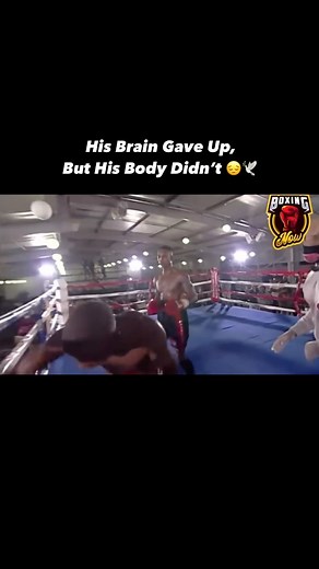 Asmr Box Club on Instagram: "Respect for all fighters 🙌 #brain#body#boxing#gaveup#ko#knockout#respect#boxingring#punch"
