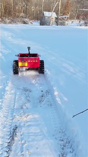 Tracked remote controlled mower with snow plow