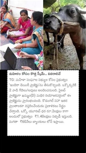 మహిళల కోసం కొత్త స్కీమ్.. వివరాలివే #womensgroup #telangana #scheme #womens #newscheme #dairyfarm