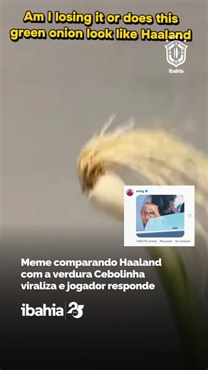 ELES NÃO PARAM! 😂⚽ Os memes estão indo longe demais que até encontrou o verdadeiro