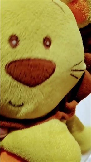 Tutorial de como despertar #humor #memes #yosoydelos7mil