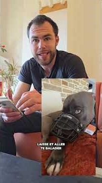 Comment travailler la muselière correctement ?