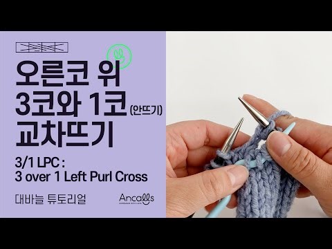 [대바늘 왕초보] 대바늘 기법 / 오른코 위 3코와 1코(안뜨기) 교차뜨기 / 3/1 LPC / 영문도안 / 앵콜스