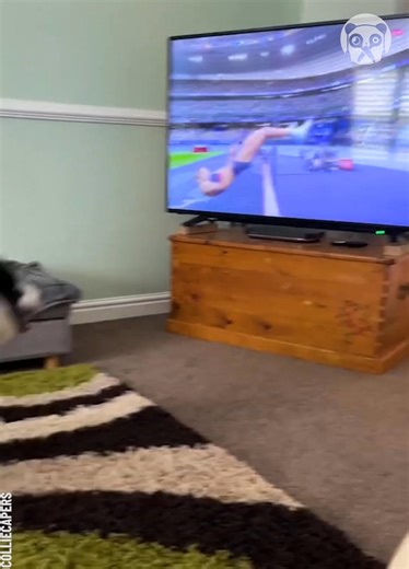 Humor Train on Reels