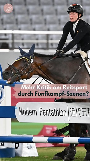 Die mit den Pferden on Instagram: "Hat sich aus eurer Sicht durch die Szenen beim Modernen Fünfkampf in Tokio auch die Kritik am Reitsport generell verschärft? Bei den Olympischen Spielen 2021 in Tokio gehen Szenen vom Reiten beim Modernen Fünfkampf um die Welt. Daraufhin bricht eine Welle der Kritik los - am Modernen Fünfkampf, aber auch am Reitsport. Ist die Kritik aus eurer Sicht seitdem auch am Reitsport schärfer geworden? #fünfkampf #modernerfünfkampf #reitsport #paris2024 #diemitdenpferden