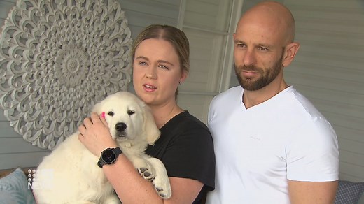 Best pet insurance policies in Australia