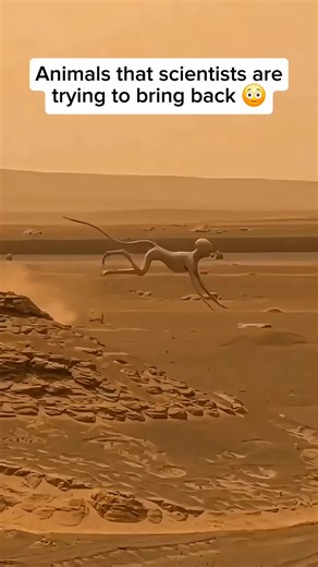 Extinct animals scientists want to bring back 😳 #extinct #usageography #animals #usalife