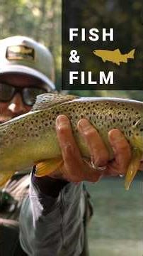 Nymphing Tight Line to The Indicator #fishingtechniques