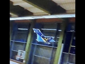 Multiplex Eurofighter Indoor