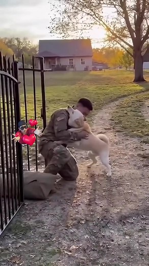 #reels AG Love Song | RiQy Palm