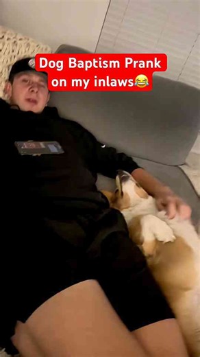 Dog baptism prank reaction