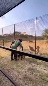 1.7M views · 5.4K reactions | Allah y kauda tsautsayi  | Azrau Suleiman Ahmed | Facebook