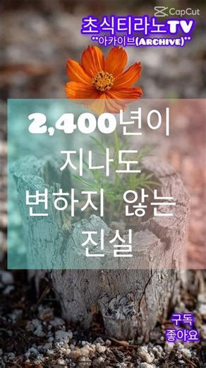 "7일의 기적,"2400년을 7일만에...!//소트라테스의 변명 완독!배꼽 다독시작!필사109일째