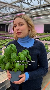 European Parliament on Reels