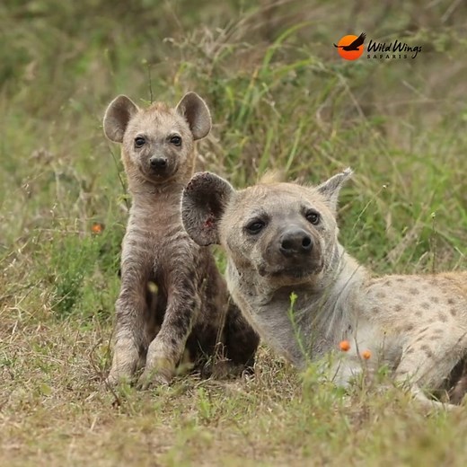 122K views · 1.4K reactions | It's a harsh world out there for baby...