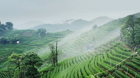 Hangzhou's Harmony: Drone Reveals Lake and City Splendor