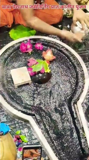 🌺🌿⚘️ Baba Baidyanath Jyotirlinga Morning Worship 🌺🌿⚘️ 07/12/26 #deoghar #babadham #bholenath #dar...