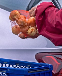 Where to find Indiana food pantries and how to help as SNAP funding deadline looms