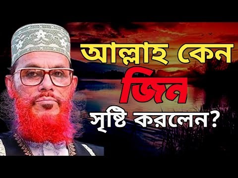 আল্লাহ কেন জ্বিন সৃষ্টি করলেন জানা জরুরী | Allama Delwar Hossain Saidi | bangla waz