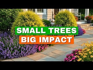 Boost Your Home’s Curb Appeal: 7 Compact Tree That Elevate Your Front Yard Year Round!