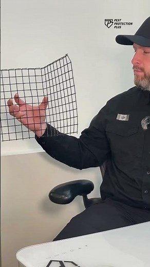 Skunk Problems Solved With This Simple Mesh Hack!