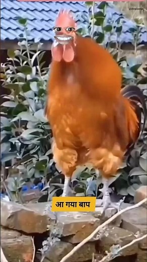 आ गया बाप #comedy #funny #thetharpuns #shilpisaroja