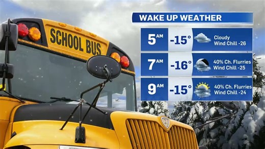 More cold temperatures, harsh winds expected throughout GTA