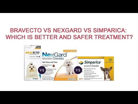 Bravecto Vs Nexgard Vs Simparica: Which is Better and Safer?