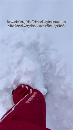 Experiencing the Magic of Deep Snow