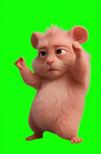 Kiki the Hamster Dancing to Buffalover meme - Green Screen