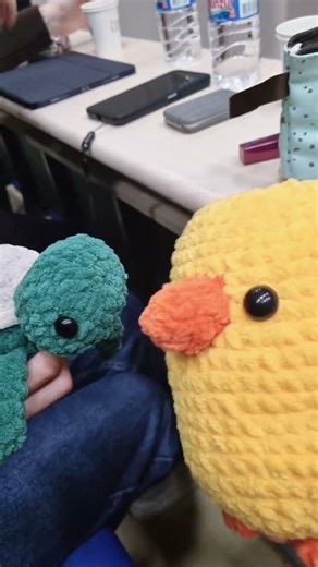 kaplumbağa ninen dostum #amigurumi #civcivkaplumbaga #kaplumbagadeden