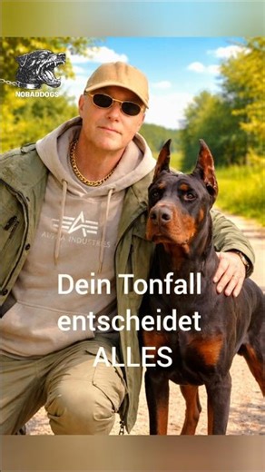 Hundetraining leicht gemacht: Die Kraft der ruhigen Stimme