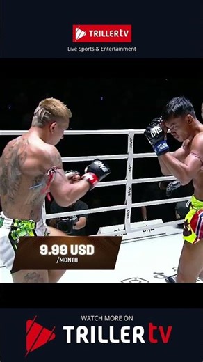 Violent head kick knockout