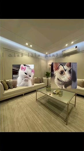 ١٠ مارس ٢٠٢٦