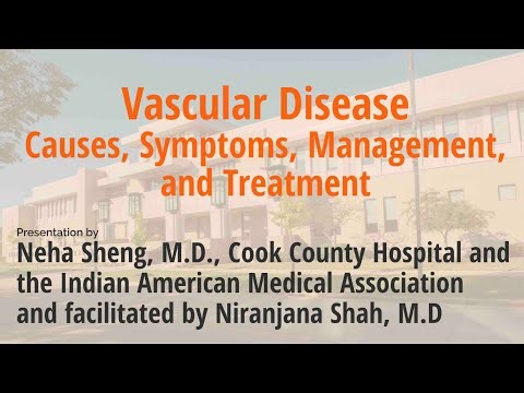 Vascular Disease – Causes, Symptoms, Management, and Treatment