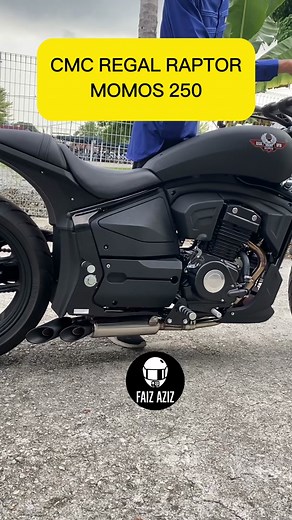 CMC REGAL RAPTOR MOMOS 250 Pure Sound #cmc #cmcraptor #regalraptor #regalraptorpilder #regalramptormomos