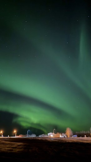 Northen lights in iceland watching #icelandadventure #fyp